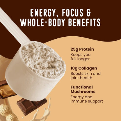 FlavCity Grass Fed Whey Chocolate Protein Powder - Chocolate Peanut Butter - 25g Protein & 10g Collagen - Made with Organic Cocoa & Coconut Milk - Gluten Free & No Added Sugars (20 Servings)